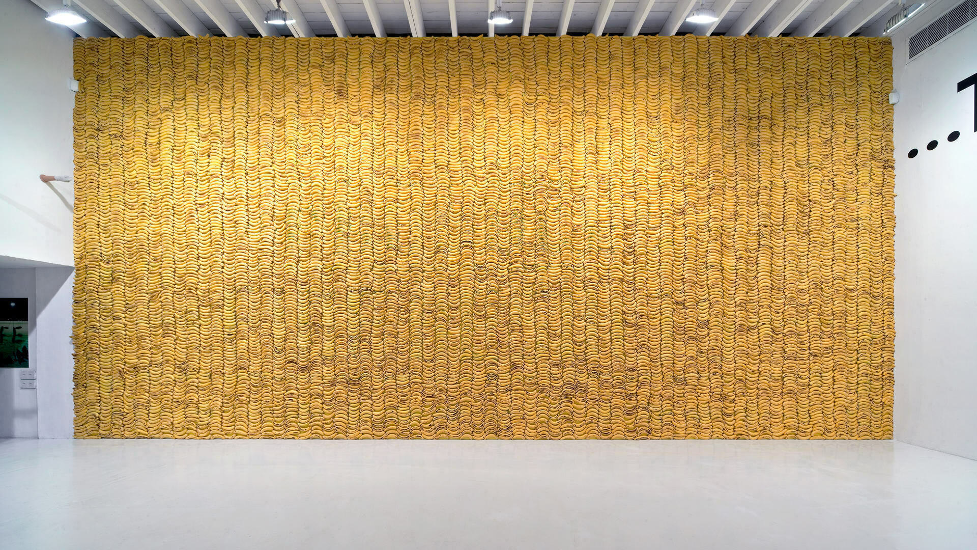 Deitch Projects, Banana Wall Stefan Sagmeister