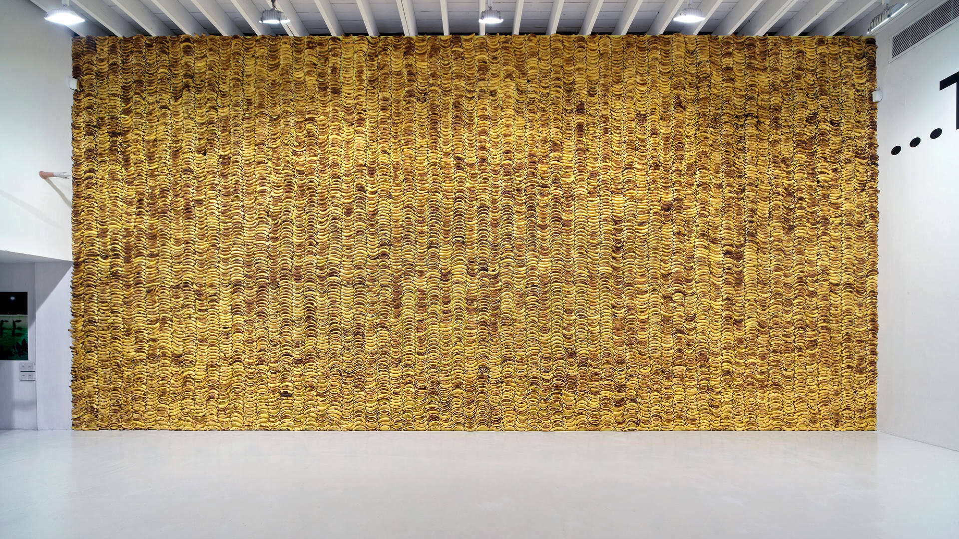 Deitch Projects, Banana Wall Stefan Sagmeister